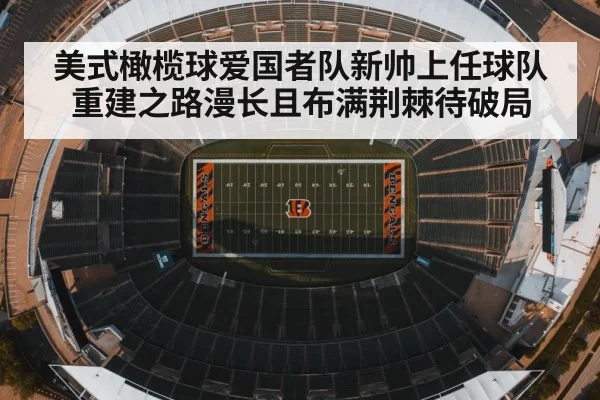 美式橄榄球爱国者队新帅上任球队重建之路漫长且布满荆棘待破局