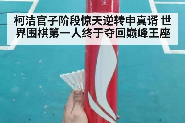 柯洁官子阶段惊天逆转申真谞 世界围棋第一人终于夺回巅峰王座